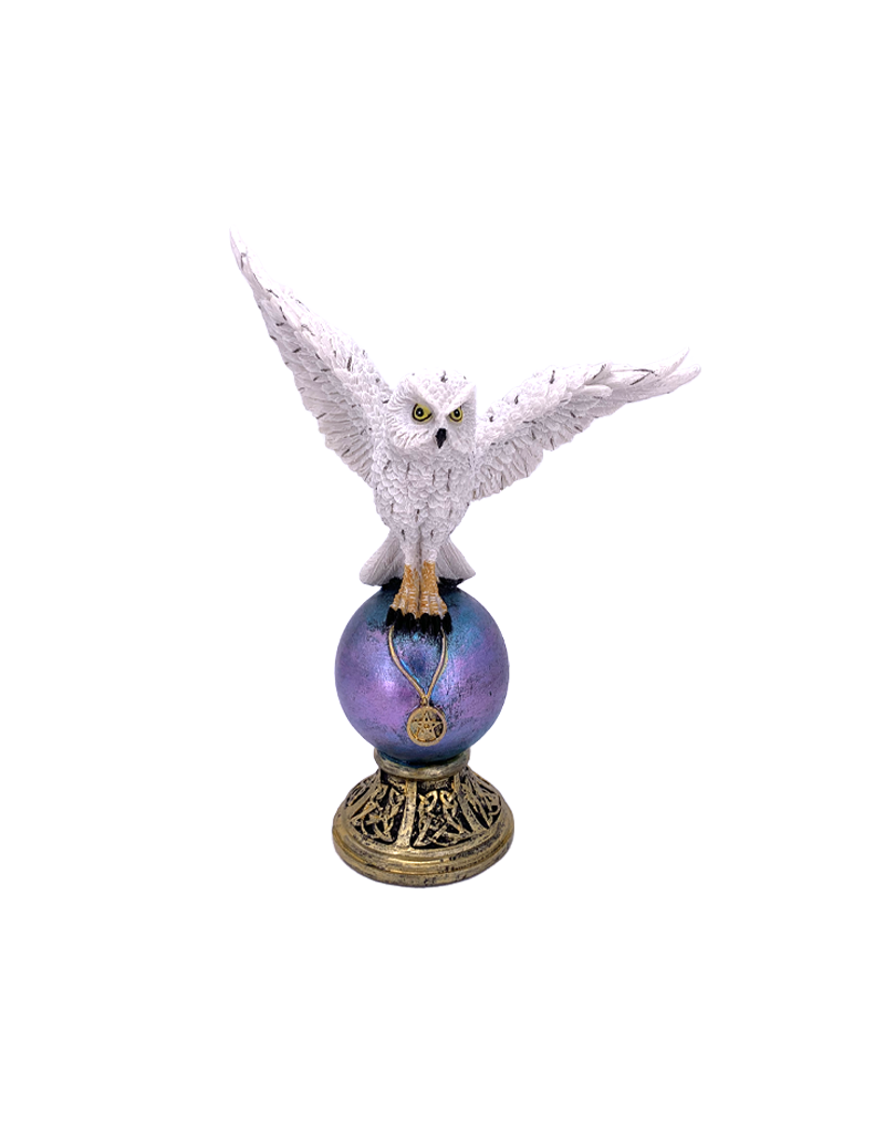 Flying Wicca Owl and Magic Ball