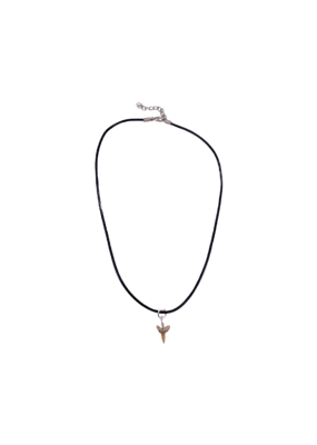 Shark Tooth with Leather Cord Necklace