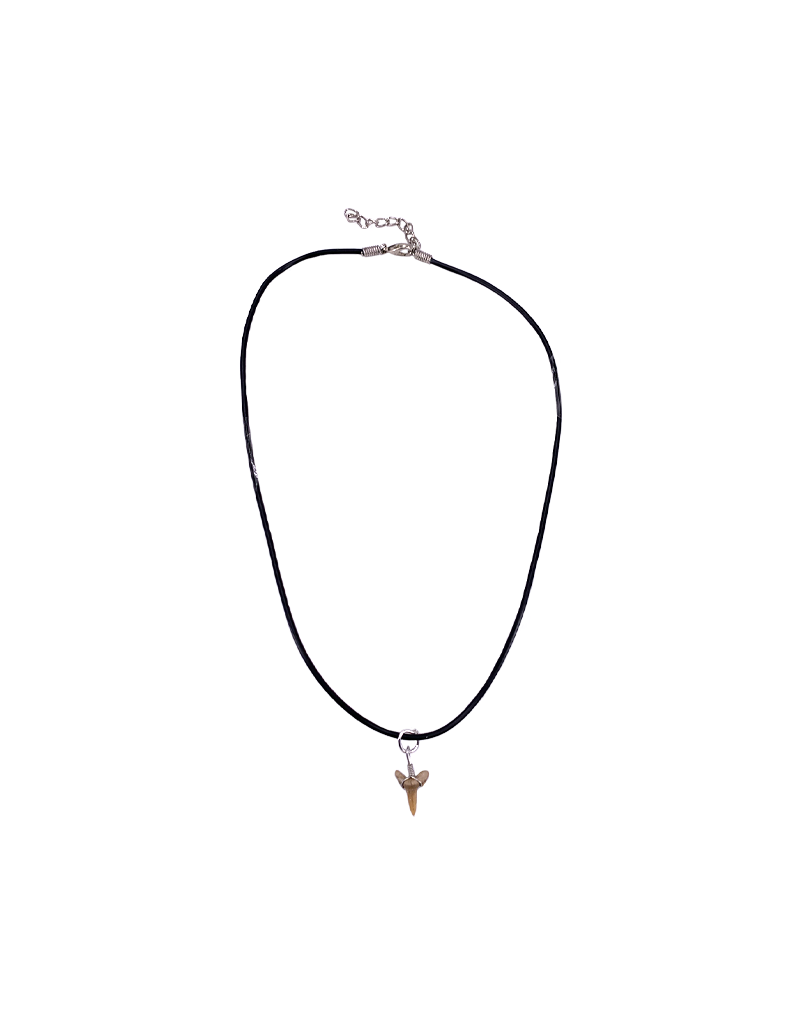 Shark Tooth with Leather Cord Necklace