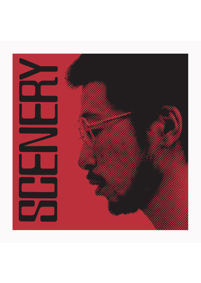 Ryo Fukui - Scenery (LP)