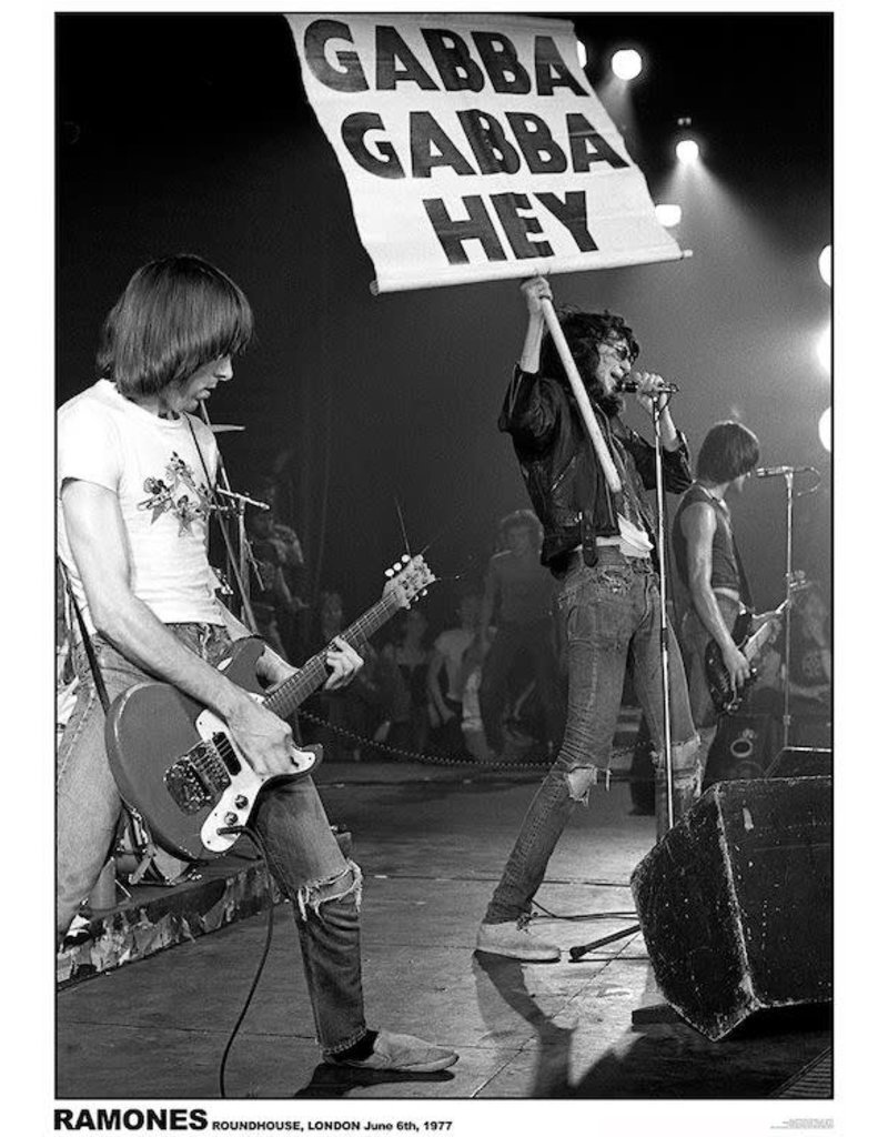 Ramones - Gaba Gaba Hey 1977 Poster 24"x36"