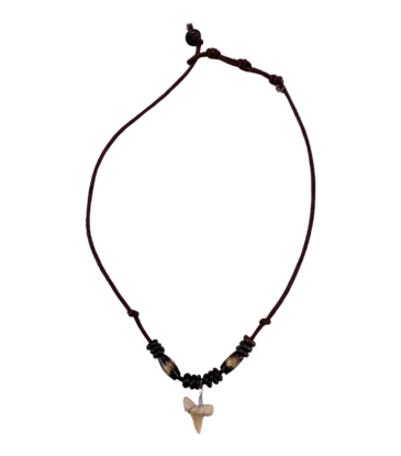 Magic Touch Shark Tooth Necklace Tiger Bead