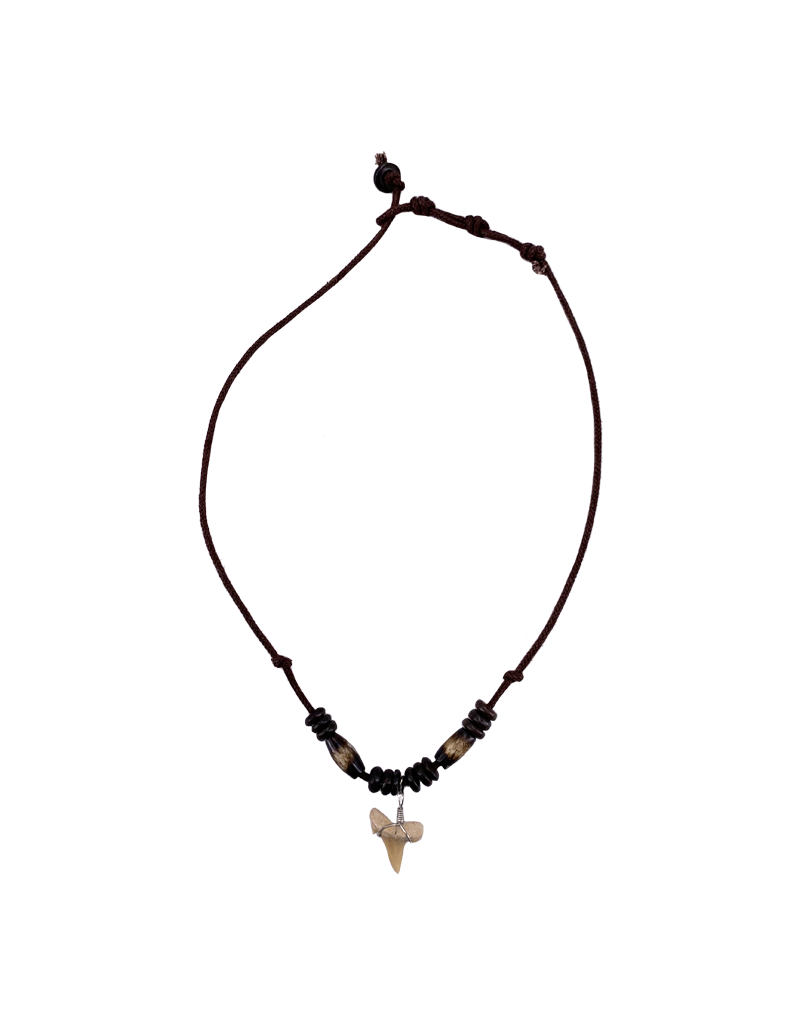 Shark Tooth Necklace Tiger Bead
