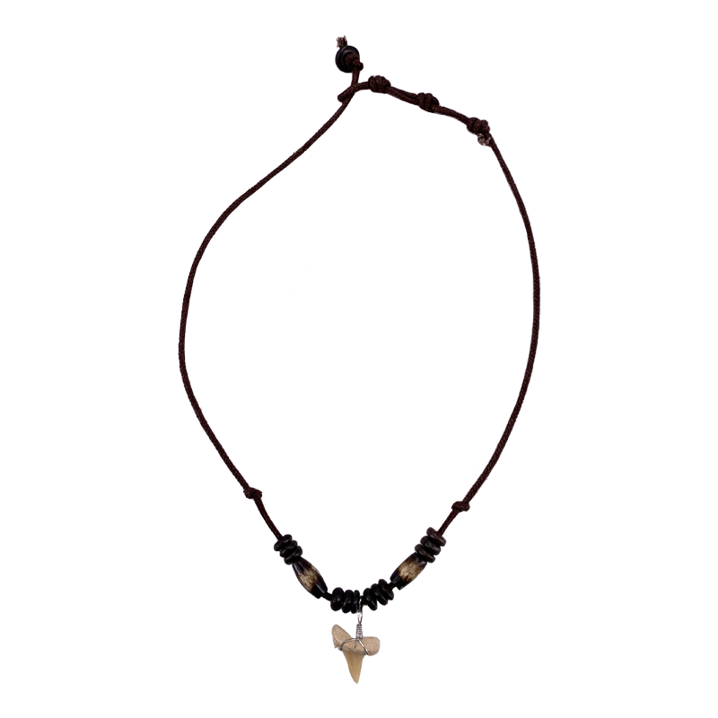 Eloise Shark Tooth Necklace