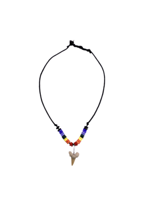 Shark Tooth Necklace Rainbow Beads