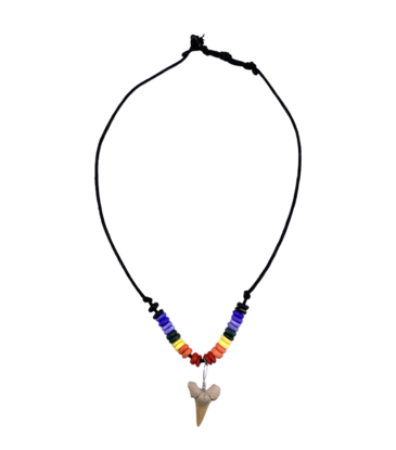Magic Touch Shark Tooth Necklace Rainbow Beads