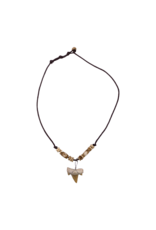 Shark Tooth Necklace Light Tiger Bead