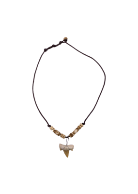 Shark Tooth Necklace Light Tiger Bead