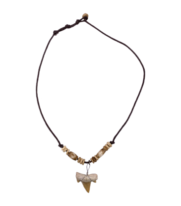 Magic Touch Shark Tooth Necklace Light Tiger Bead