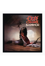 Ozzy Osbourne - Blizzard Of Ozz (Picture Disc)