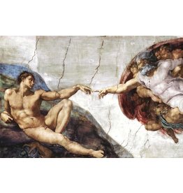 Michelangelo - Creation Poster 36"x24"