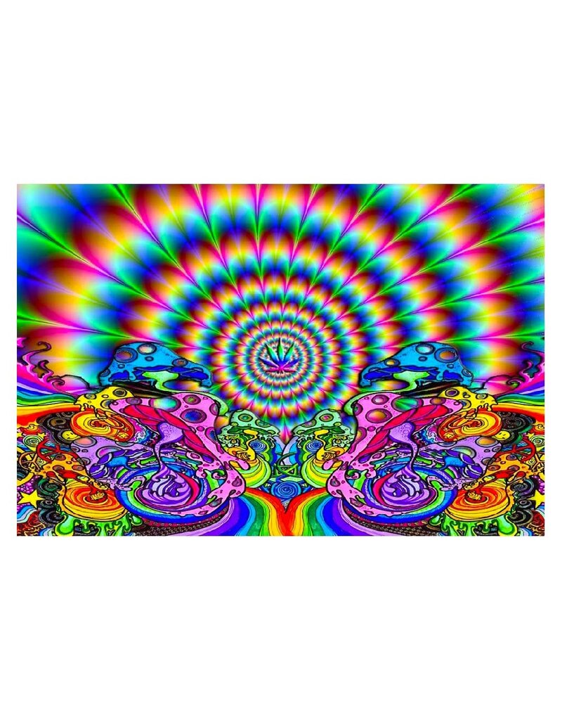 Trippy Hippie Fractal Poster 24"x36"