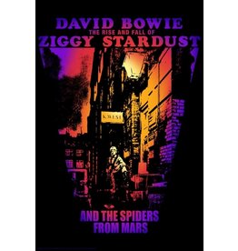 David Bowie - Ziggy Stardust Poster BD Coll. 24"x36"