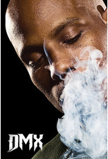 DMX - Smoke Poster 24"x36"