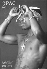 Tupac - Smoke Poster - 24"x36"