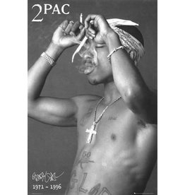 Tupac - Smoke Poster - 24"x36"