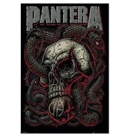 Pantera - Skull with Snake Poster 24"x36"