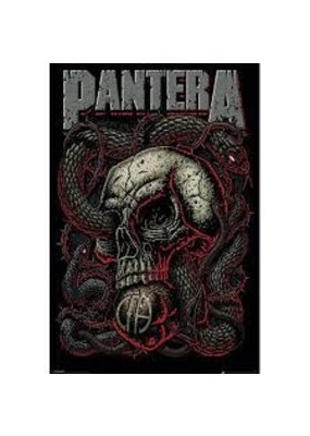 Pantera - Skull with Snake Poster 24"x36"