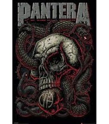 Pantera - Skull with Snake Poster 24"x36"