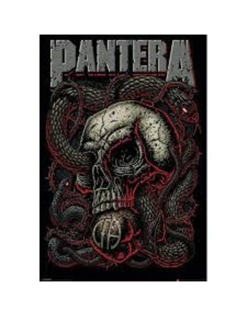 Pantera - Skull with Snake Poster 24"x36"