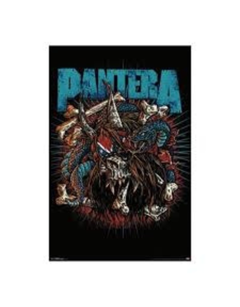 Pantera - Rocker Skull Poster 24"x36"