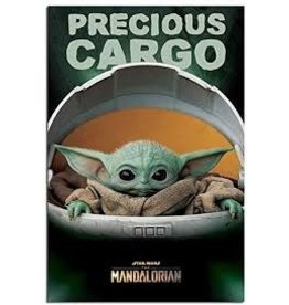 The Mandalorian - Precious Cargo Poster 24"x36"