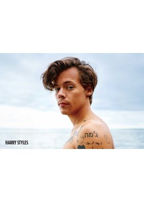 Harry Styles - Beach Poster 36"x24"