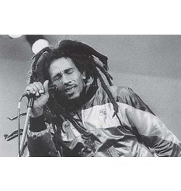 Bob Marley - Dreds Poster 36"x24"