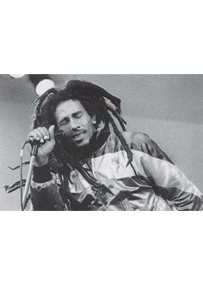 Bob Marley - Dreds Poster 36"x24"