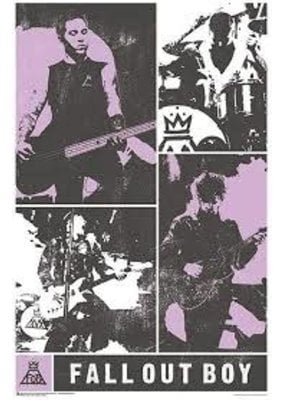 Fall Out Boy - Panel Poster 24"x36"