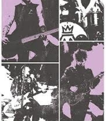 Fall Out Boy - Panel Poster 24"x36"