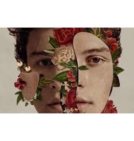 Shawn Mendes - Face Collage Poster 36"x24"