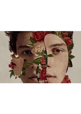 Shawn Mendes - Face Collage Poster 36"x24"