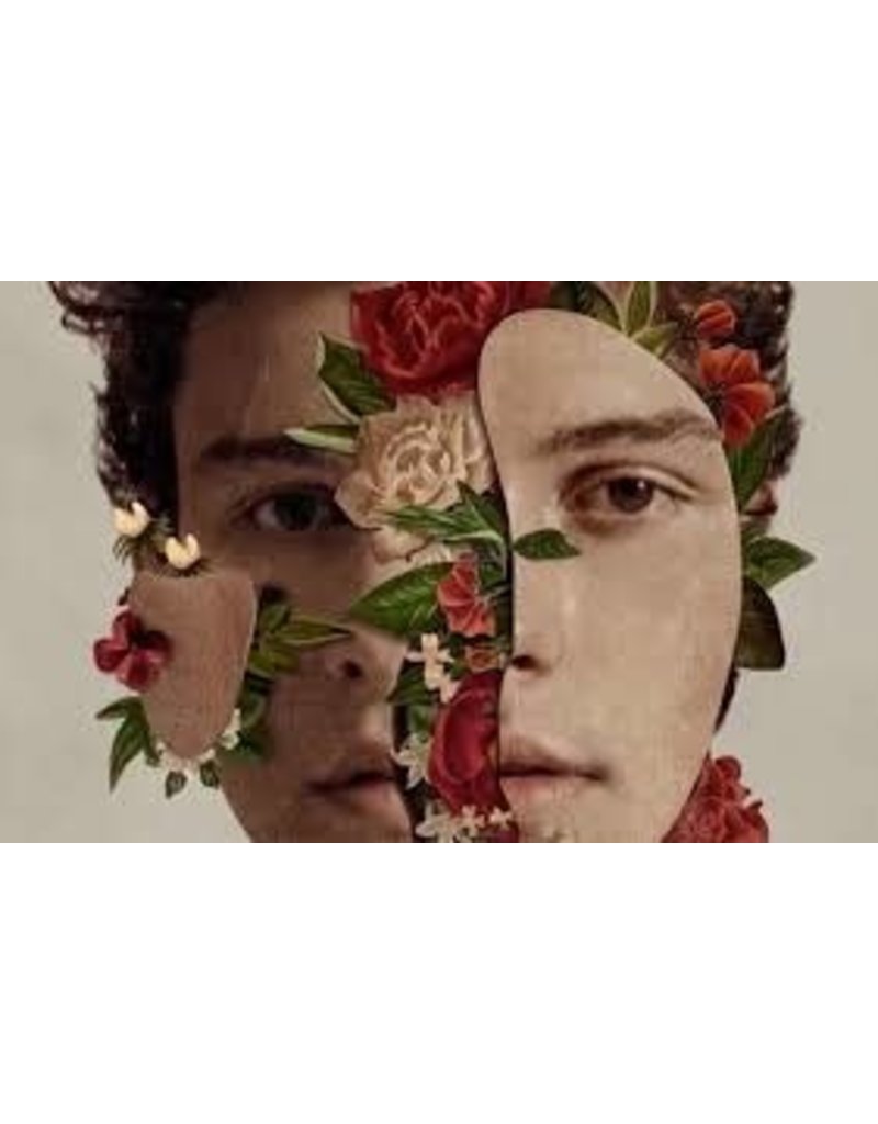 Shawn Mendes - Face Collage Poster 36"x24"