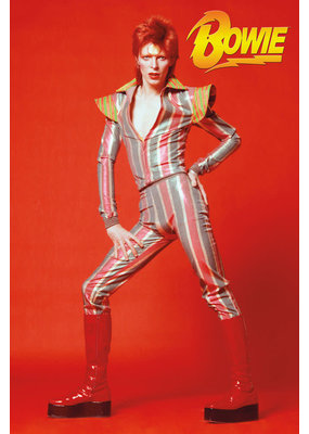 David Bowie - Red Glam Poster 24"x36"