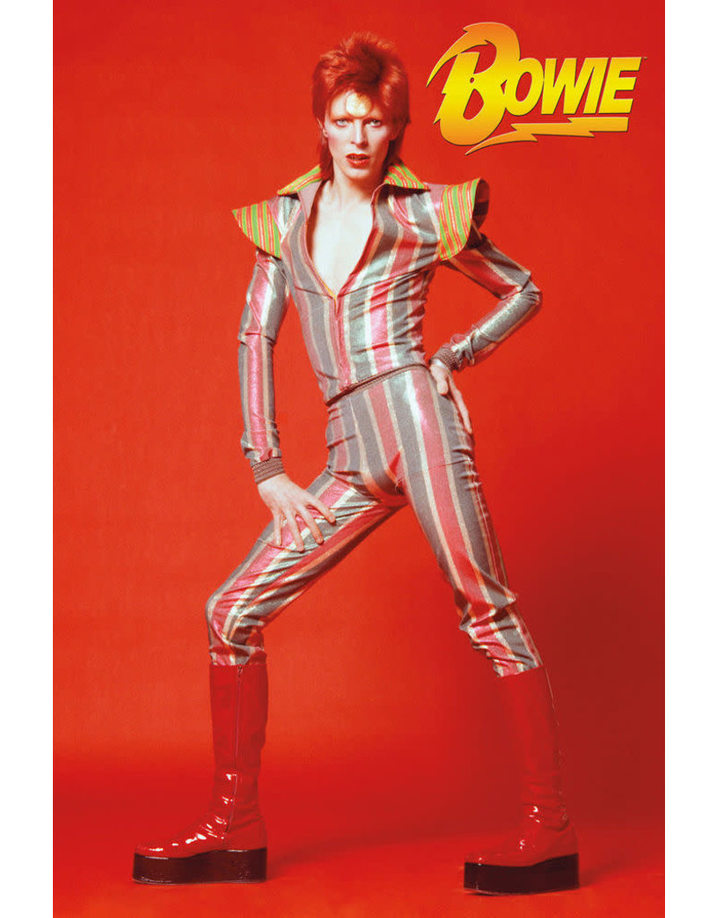 David Bowie - Red Glam Poster 24"x36"