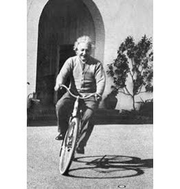 Einstein - Bike Poster 24"x36"