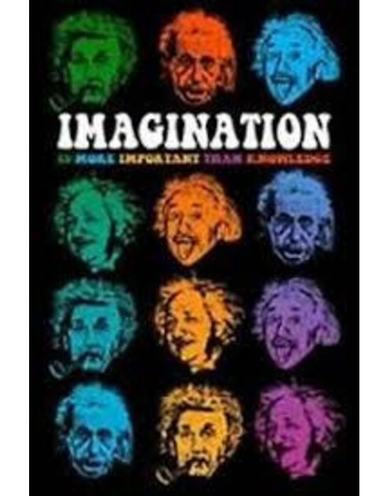 Albert Einstein - Faces of Imagination Poster 24"x36"