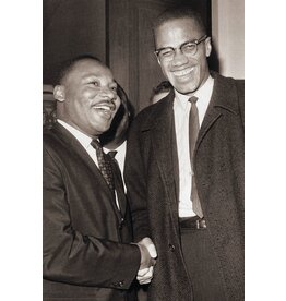 The Meeting - Malcolm X and MLK Poster 24"x36"
