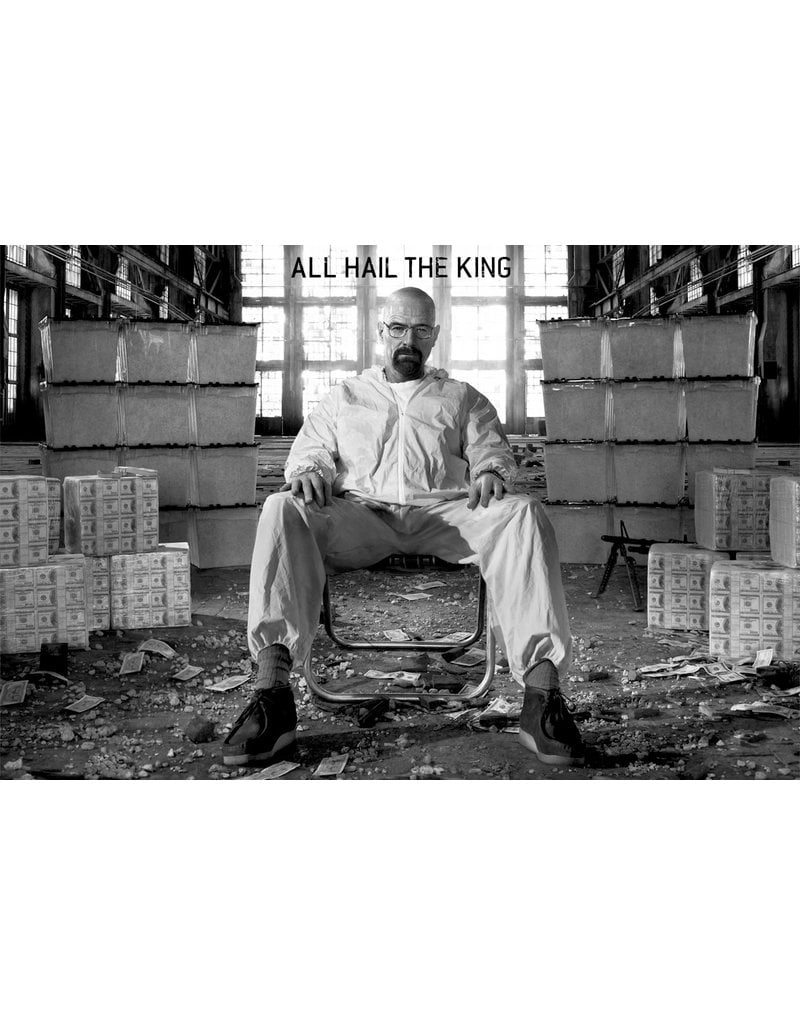 Breaking Bad - All Hail The King Poster 24"x36"
