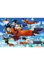 Dragon Ball Z - Super Flying Poster 36"x24"