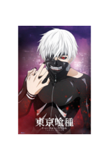 Tokyo Ghoul - Kaneki Poster 24"x 36"