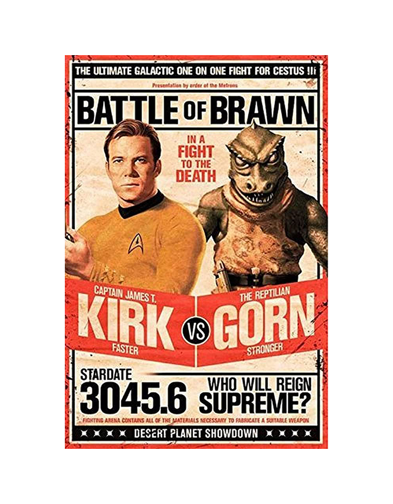 Star Trek - Kirk vs Gorn Poster 24" x 36"