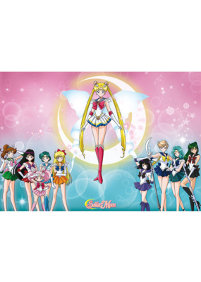 Sailor Moon - Sailor Warriors Poster 36" x 24"