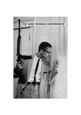 Malcolm X - By All Means Poster 24" x 36"
