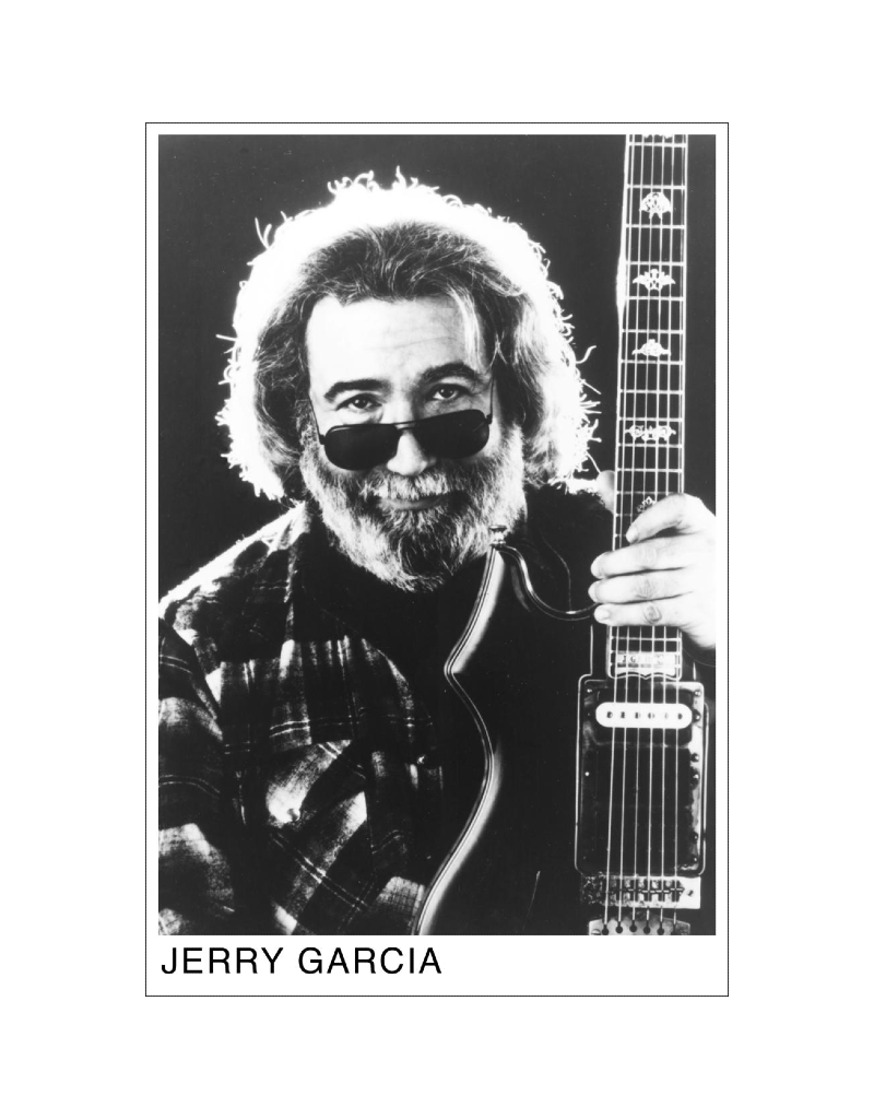 Greateful Dead - Jerry Garcia - 6 String Poster 24" x 26"