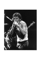 Bruce Springsteen - Live Poster 24" x 36"