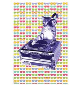 Steez - Cat DJ Poster 24" x  36"