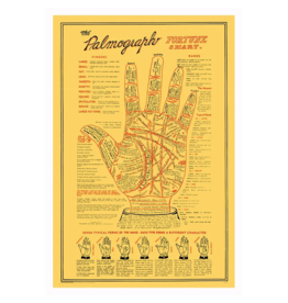 Palmograph Poster 24"x36"