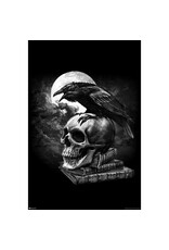 Alchemy - Poe's Raven Poster 24"x36"